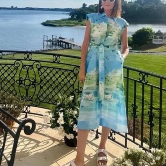 Zara Dresses & Skirts - Zara printed shirt dress ZW collection 2183/014